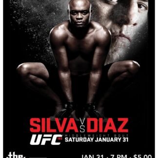 UFC 183 Silva Vs Diaz