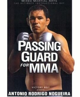 Passando A Guarda Para MMA Com Minotauro