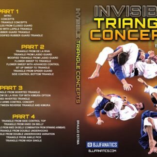 Invisible Triangle concepts Com Braulio Estima