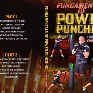 Fundamentals of Power Punching Com Cain Velasquez