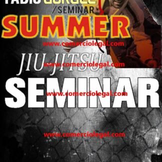 Fabio Gurgel Summer Seminar