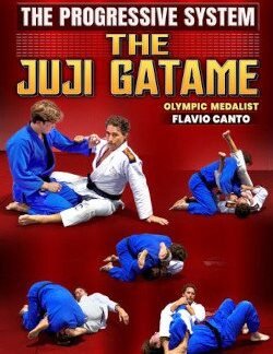 The Progressive System: The Juji Gatame By Flavio Canto
