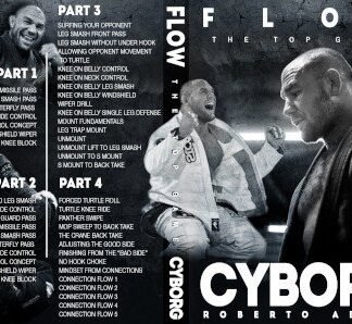 Flow: The Top Game Com Roberto "Cyborg" Abreu
