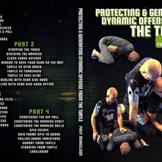 Protecting & Generating Dynamic Offense From The Turtle by Priit Mihkelson