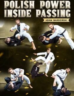 Polish Power Inside Passing By Adam Wardzinski