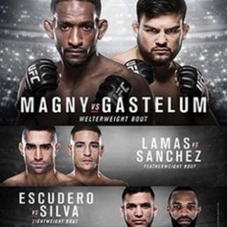UFC Fight Night 78 Magny Vs Gastelum