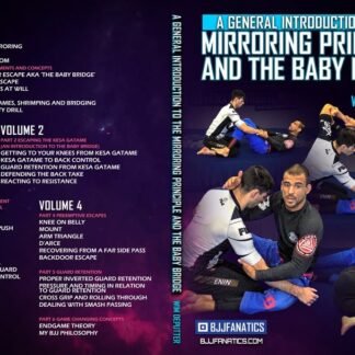 General Introduction To Mirroring Principal Com Wim Deputter