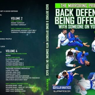 Mirroring Principle: Back Defense Being Offensive  Wim Deputter
