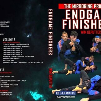 Mirroring Principle: End Game Finishers Com Win Deputter