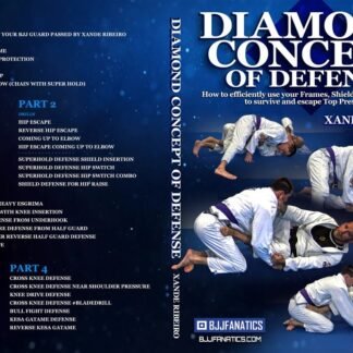 Diamond Concept of Defense Com  Xande Ribeiro