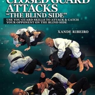 Side Closed Guard Attacks Com Xande Ribeiro